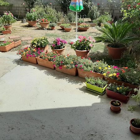 Casa Vacanze Millefiori Codice Iun Q3156 Teulada Eksteriør bilde